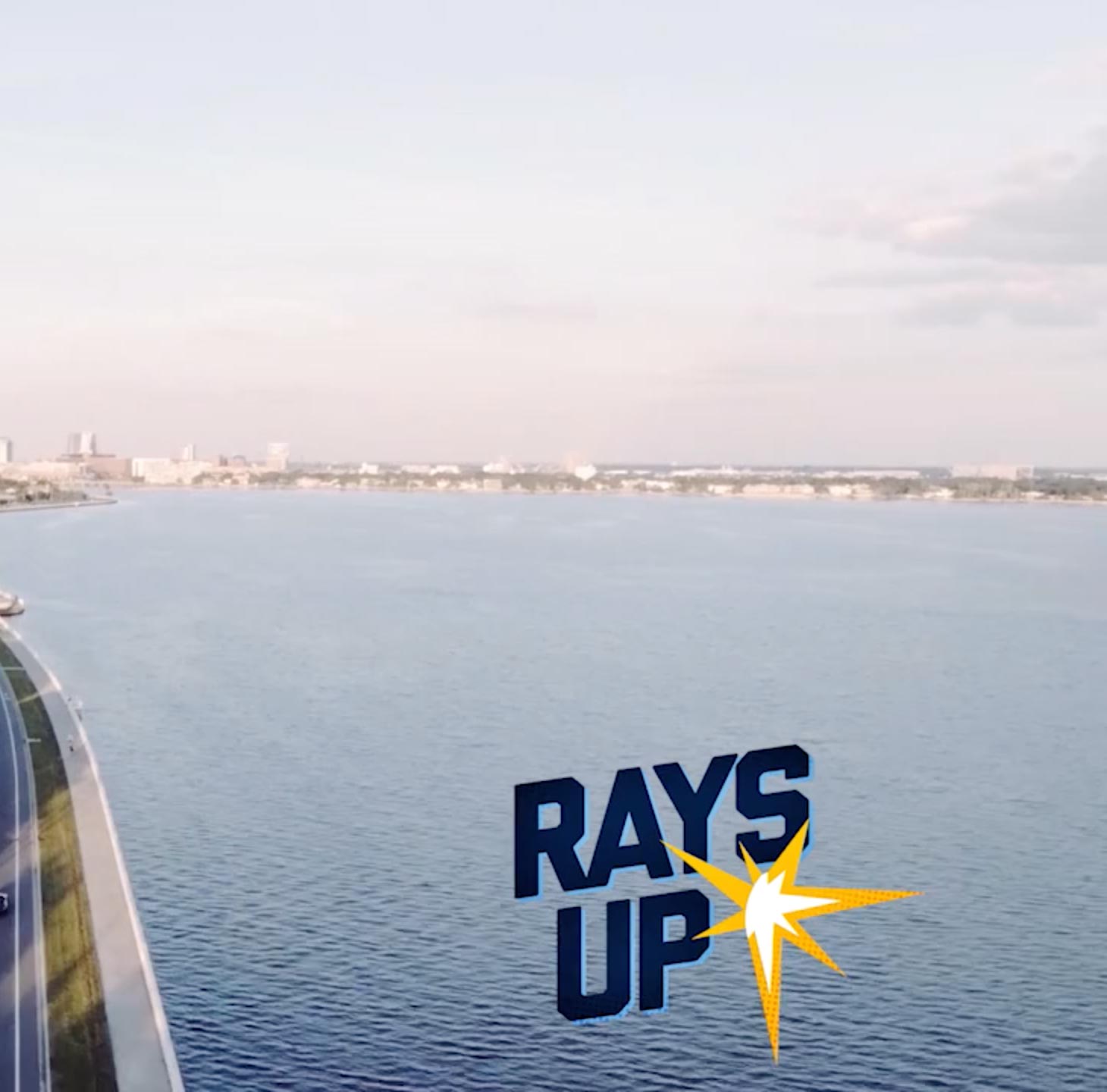 Tampa Bay Rays - Company Man Studios