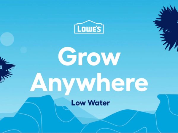 Lowe's cover-2-1